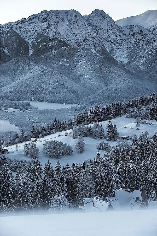 Willa 14 Zakopane
